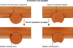 сравнение канадской и русской рубки сравнение канадской и русской рубки